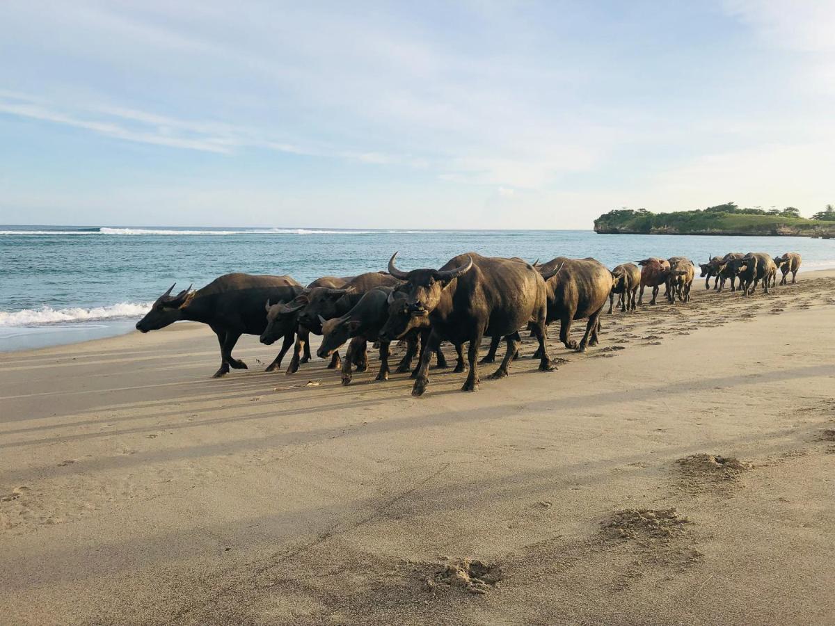 Sumba Beach House Waikabubak Eksteriør bilde